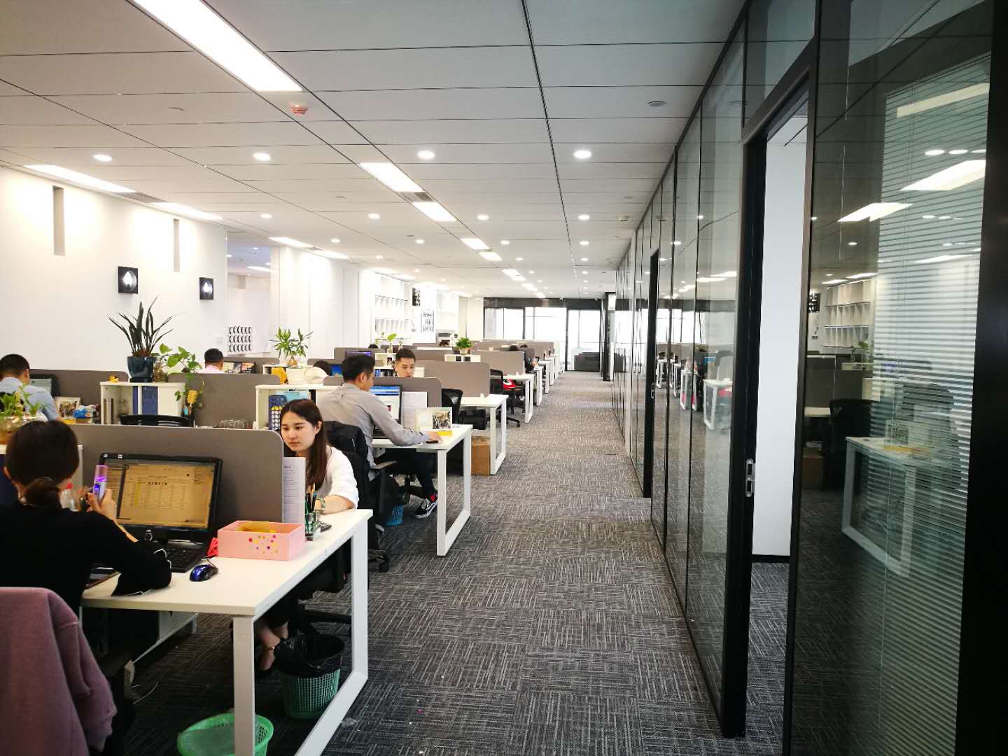 1555636813510818.jpg 11.jpg